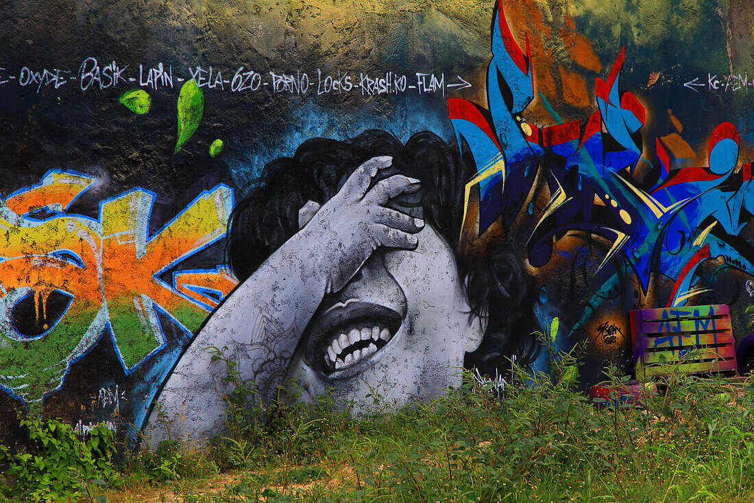 Frankreich,Guadeloupe. Pointe a Pitre. Straßenkunst