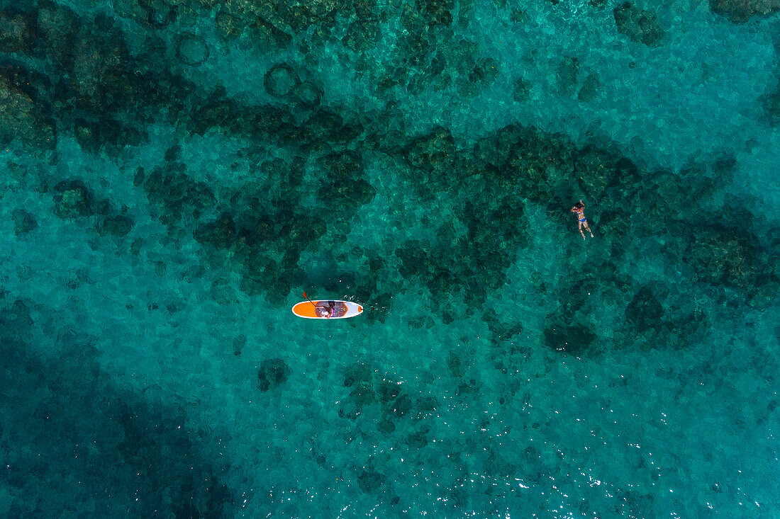 Frankreich, Guadeloupe. Port Louis. Schnorcheln