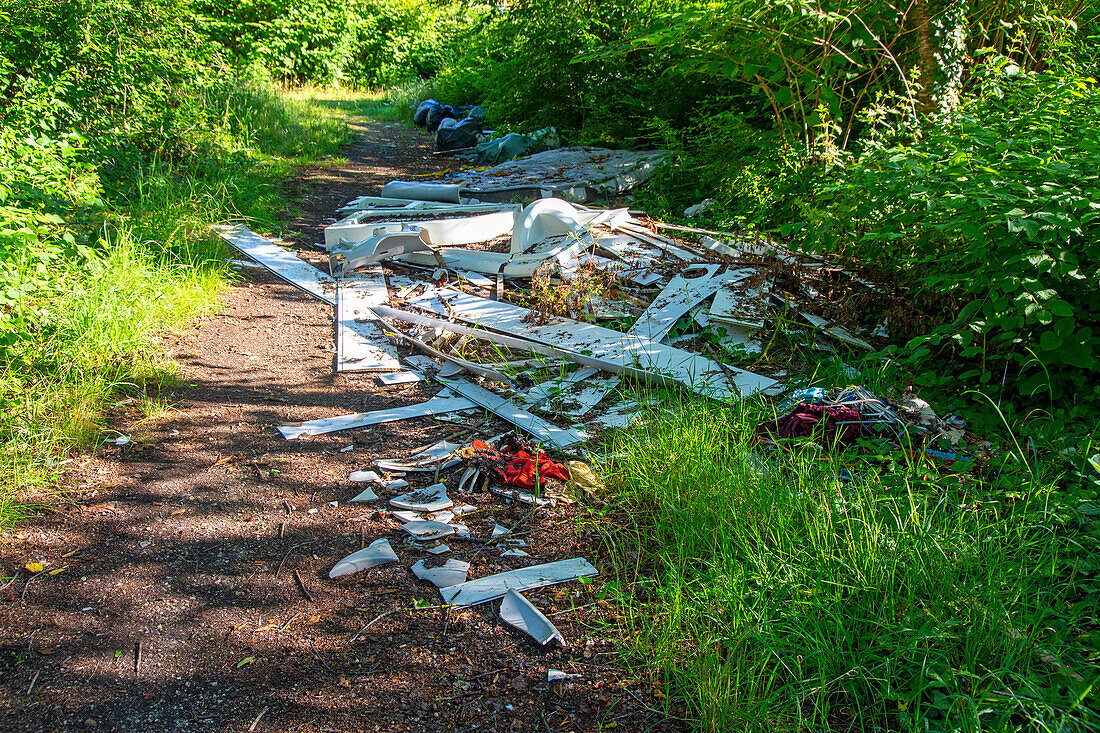 Wilde Müllkippe auf einem Weg inmitten der Natur