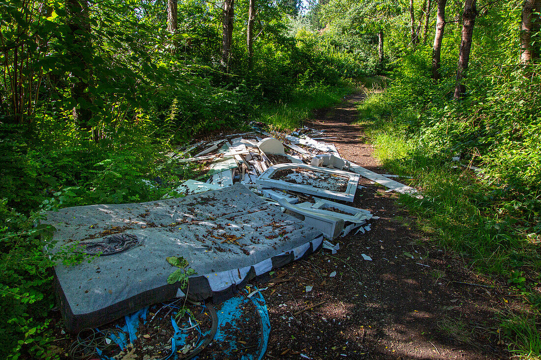 Wild dump on a path surrounded by nature