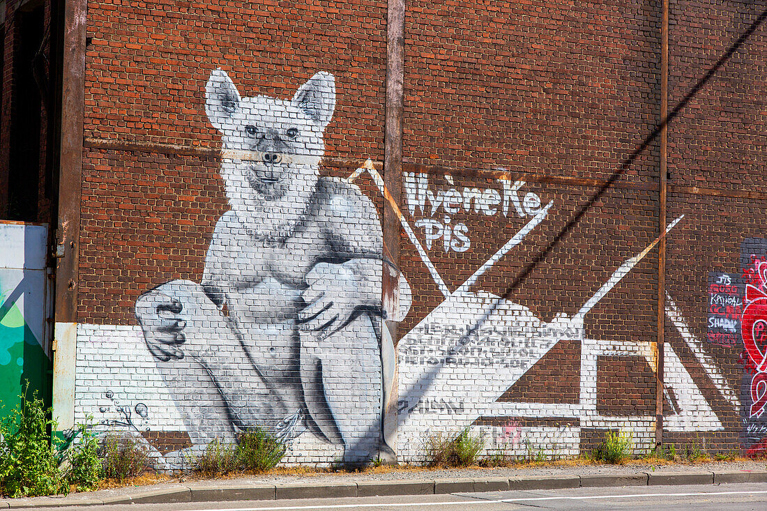 Europa,Belgien,Charleroi. Straßenkunst