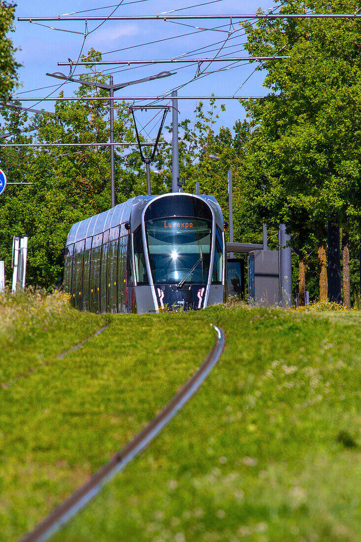 Europa,Luxemburg,Luxemburg-Stadt. Straßenbahn