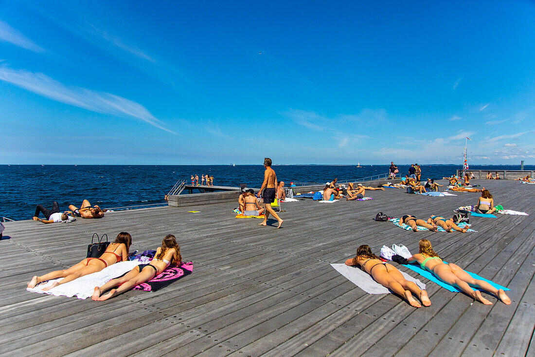 Europe,Scandinavia,Sweden. Skania. Malmoe. Scaniaparken Park. Vaestra Hamnen district