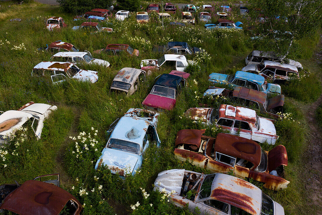 Europa,Skandinavien,Schweden. Autofriedhof