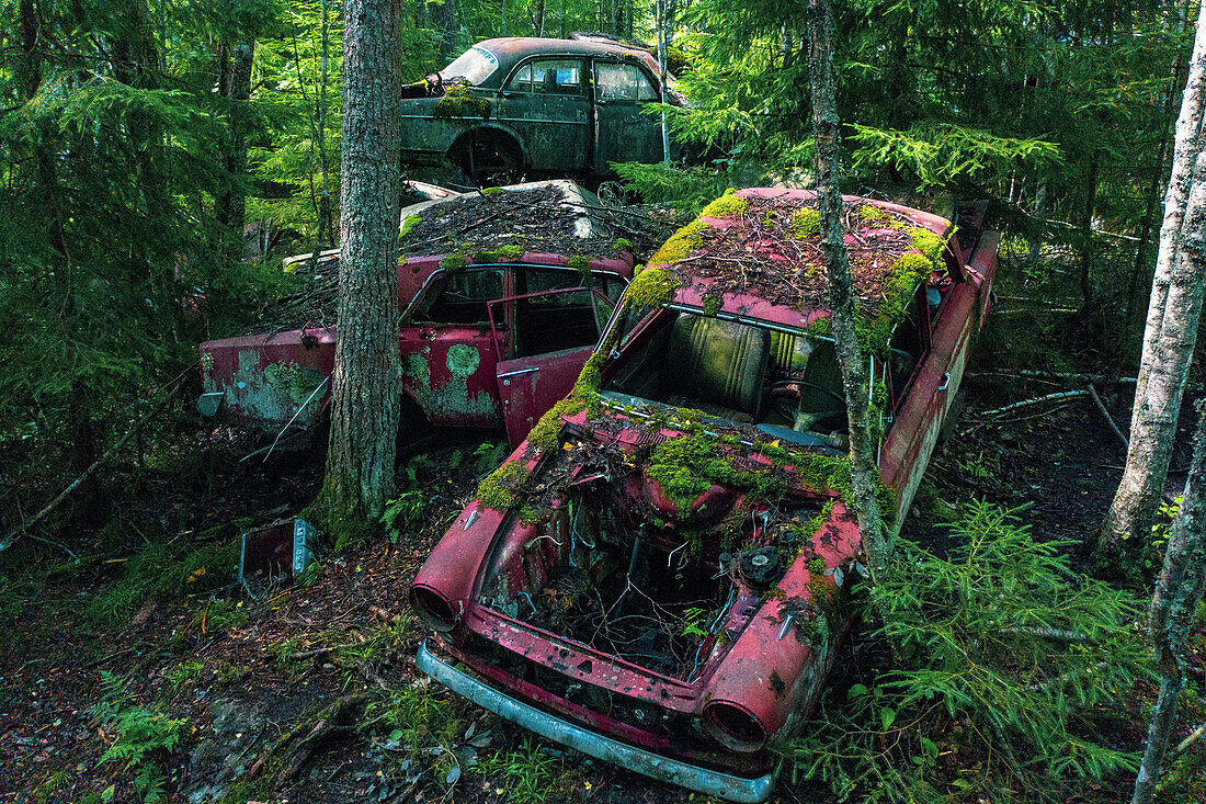 Europa,Skandinavien,Schweden. Autofriedhof