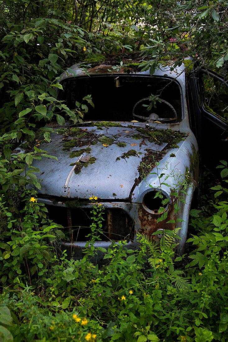 Europa,Skandinavien,Schweden. Autofriedhof