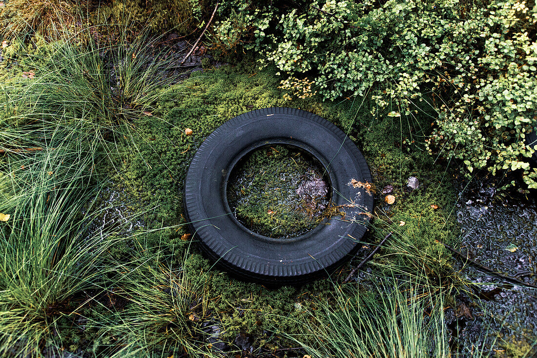 Europe,Scandinavia,Sweden,tire in nature