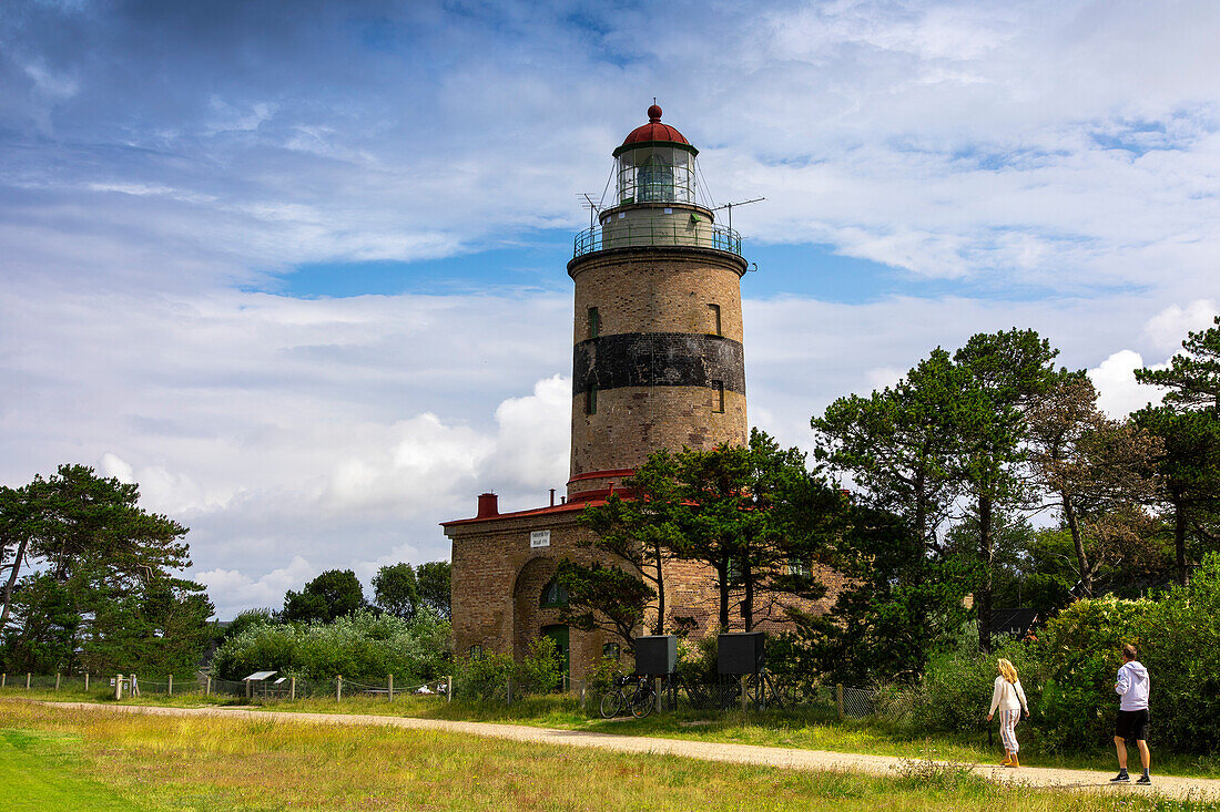 Europa,Skandinavien,Schweden. Schonen.  Halbinsel Falsterbo. Maklaeppen Naturschutzgebiet