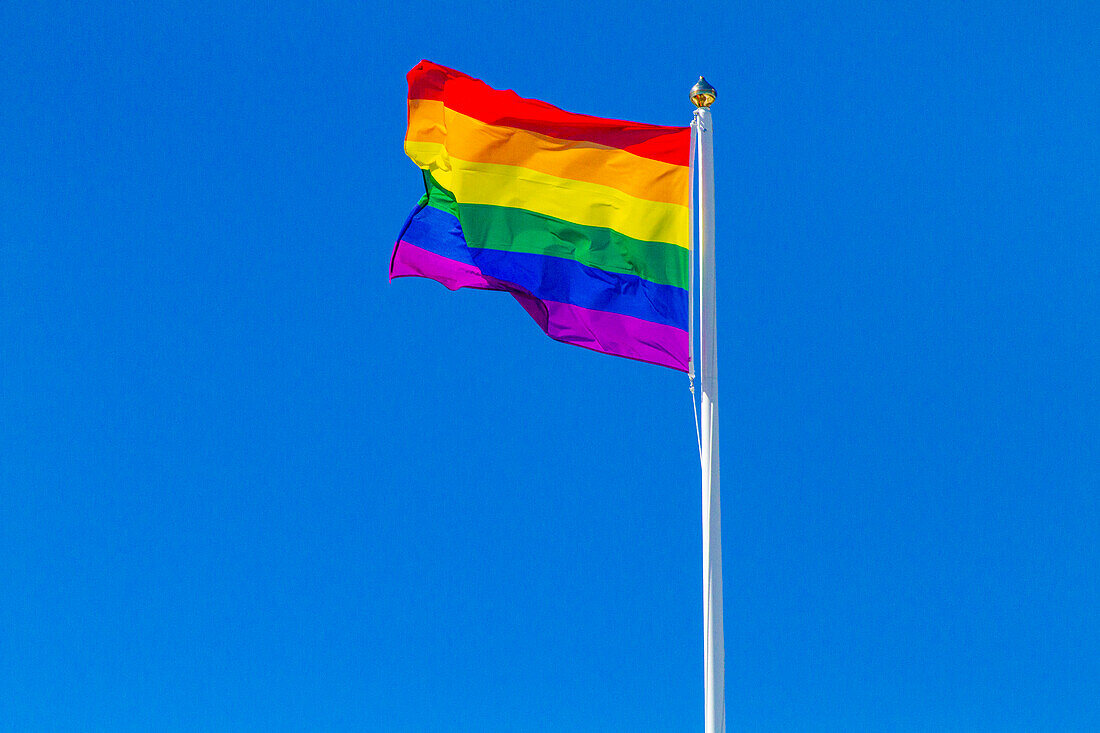 LGBT Rainbow Flag