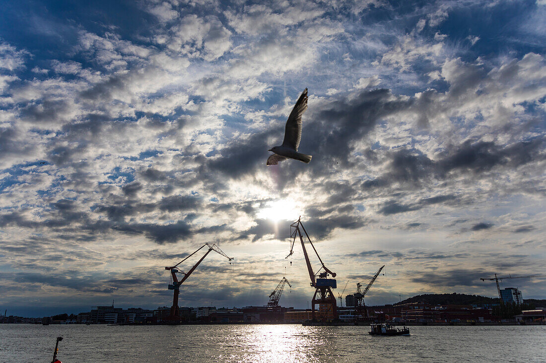 Europe,Scandinavia,Sweden. Goeteborg. Harbour