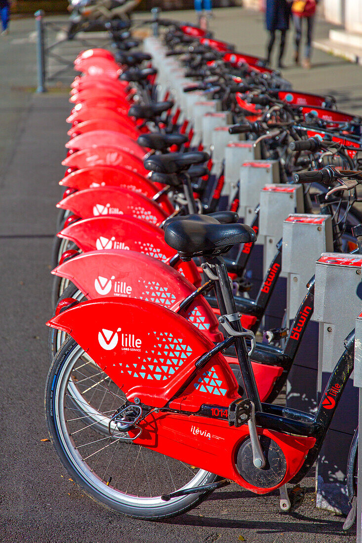 Frankreich,Hauts de France,Lille. Selbstbedienungsfahrräder