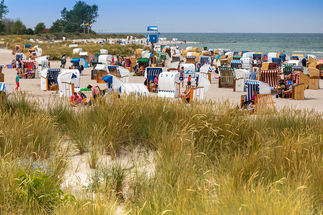 Europe,Germany. Schleswig-Holstein. Heiligenhafen. Strandkorb