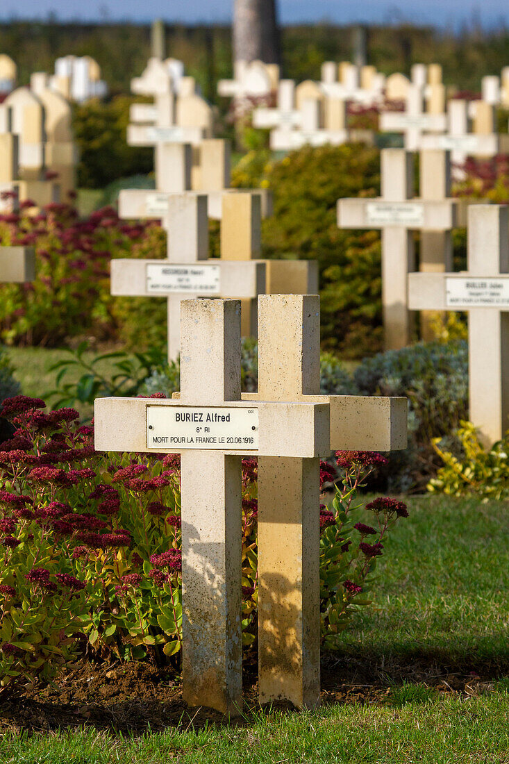 Frankreich,Hauts de France,Aisne,Chemin des Dames. Gedenkstätte