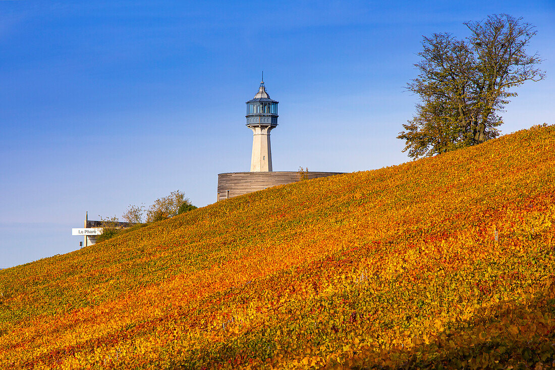 France,Grand-Est,Marne,Verzenay. Verzenay lighthouse. Reims montain