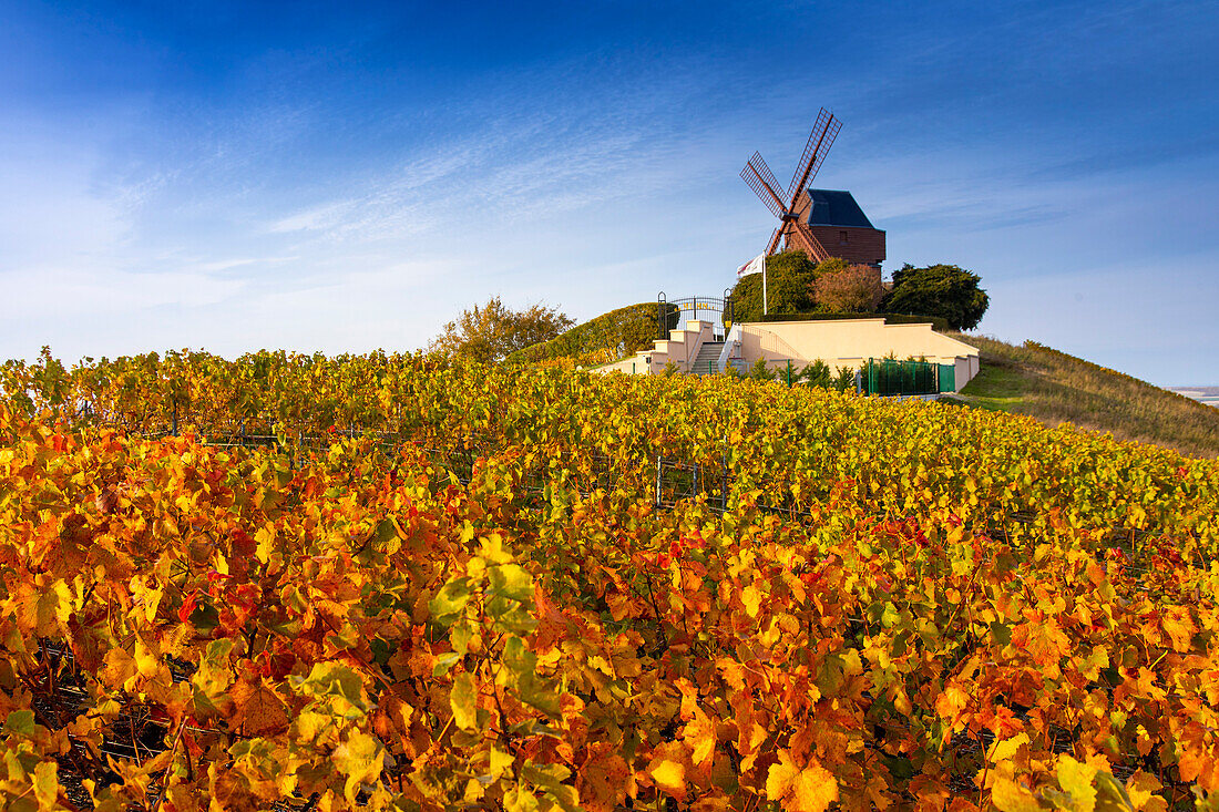 France,Grand-Est,Marne,VerzenayMont-Bœuf. Verzenay windmill. Mumm Champagne