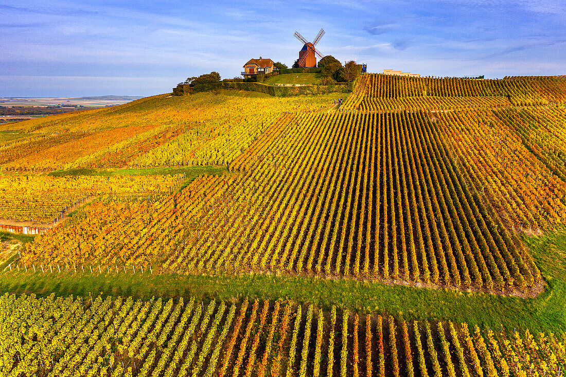 France,Grand-Est,Marne,VerzenayMont-Bœuf. Verzenay windmill. Mumm Champagne. Reims montain