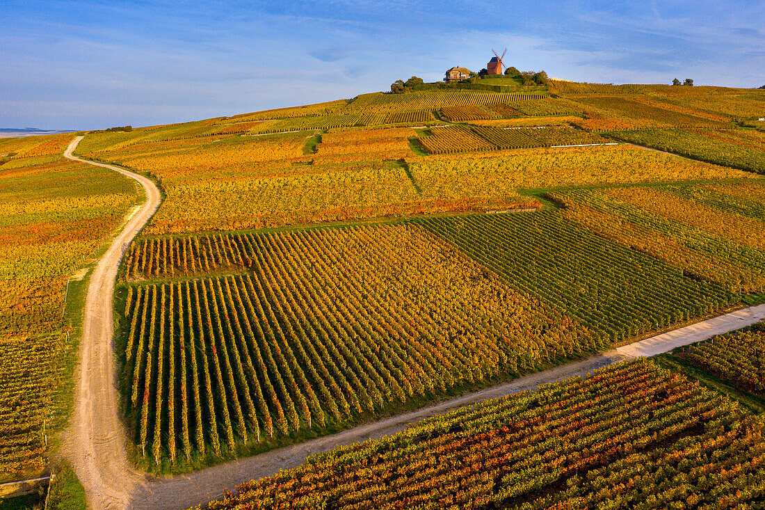 France,Grand-Est,Marne,VerzenayMont-Bœuf. Verzenay windmill. Mumm Champagne. Reims montain