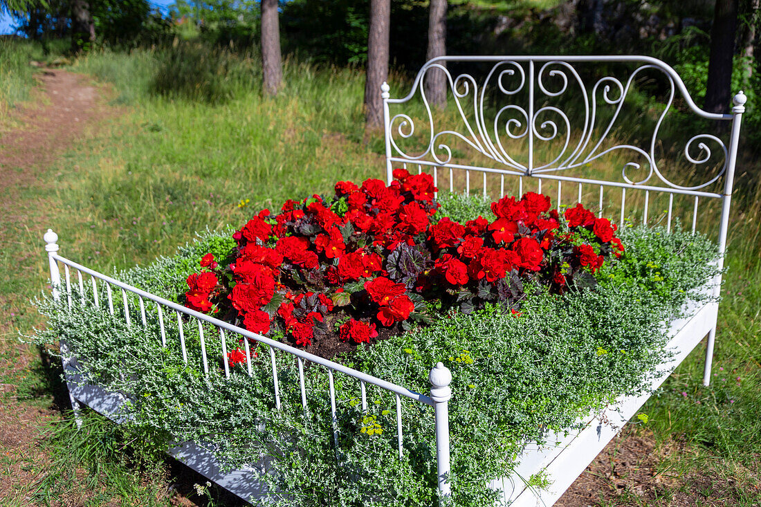 Europe,Sweden,Ostergotland County,Linkoeping. Tradgardsforeningen