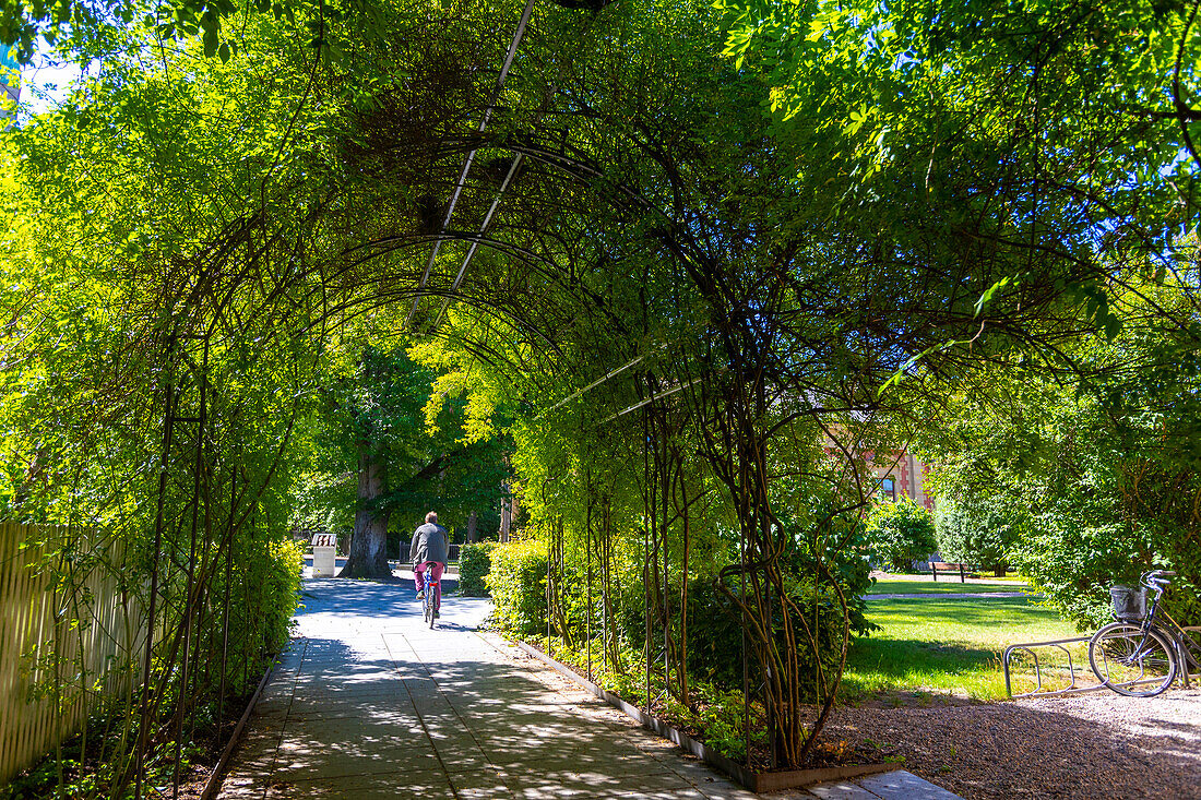 Europe,Sweden,Ostergotland County,Linkoeping