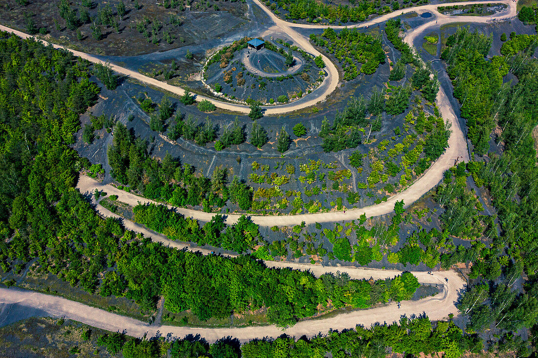 France,Hauts de France,Nord,Rieulay,Terril des Argales,mining site converted into a natural area