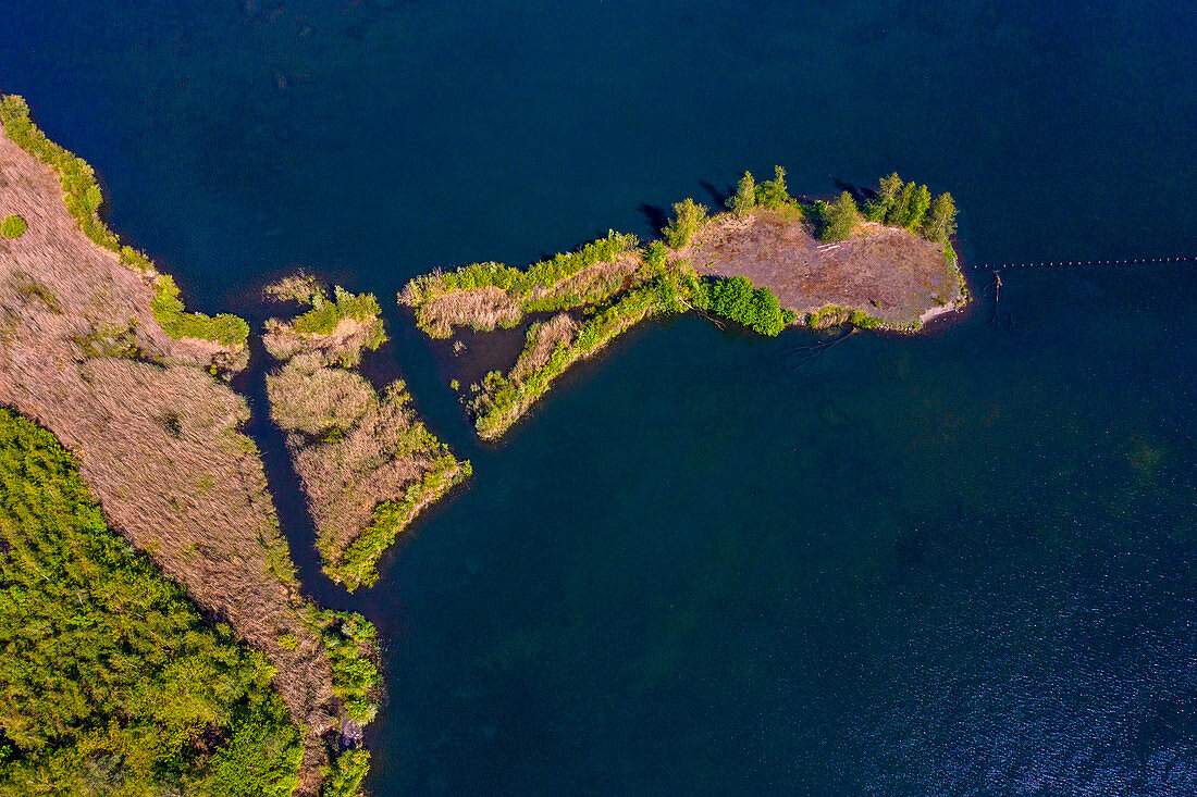 France,Hauts de France,Nord,Rieulay,Terril des Argales,mining site converted into a natural area