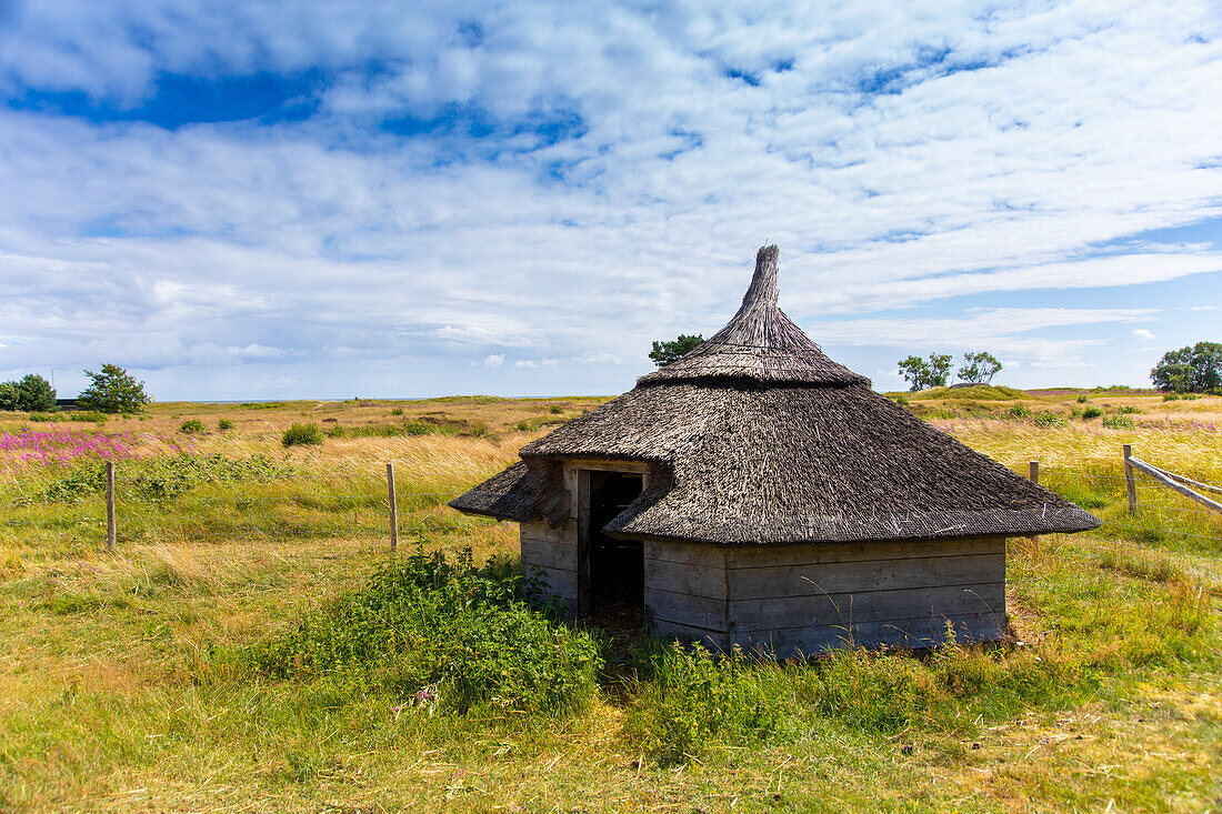 Europe,Scandinavia,Sweden. Unusual shelter for goats