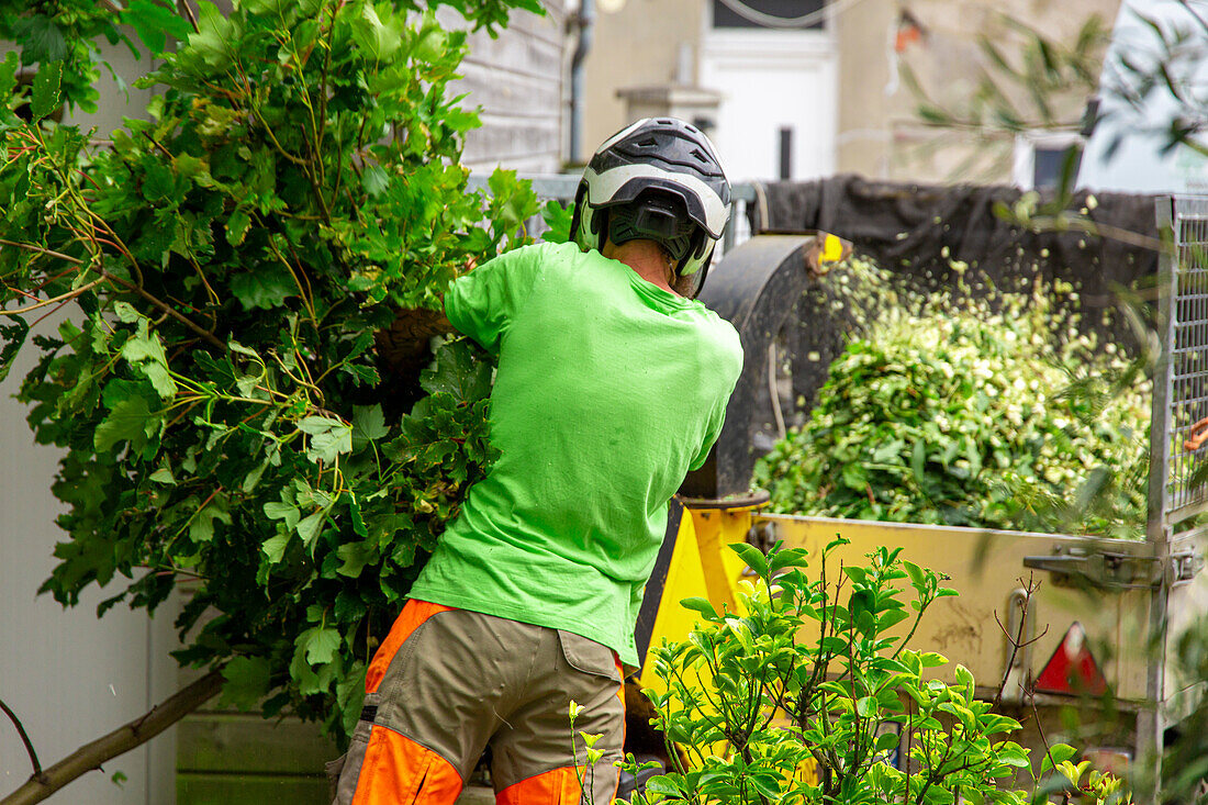 Professional plant shredder