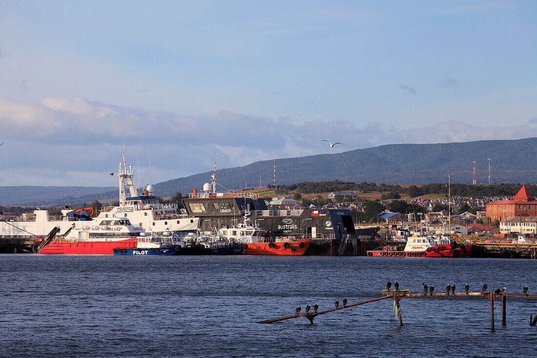 Chile,Magallanes,Punta Arenas,Avenida Costanera,harbor,ships,