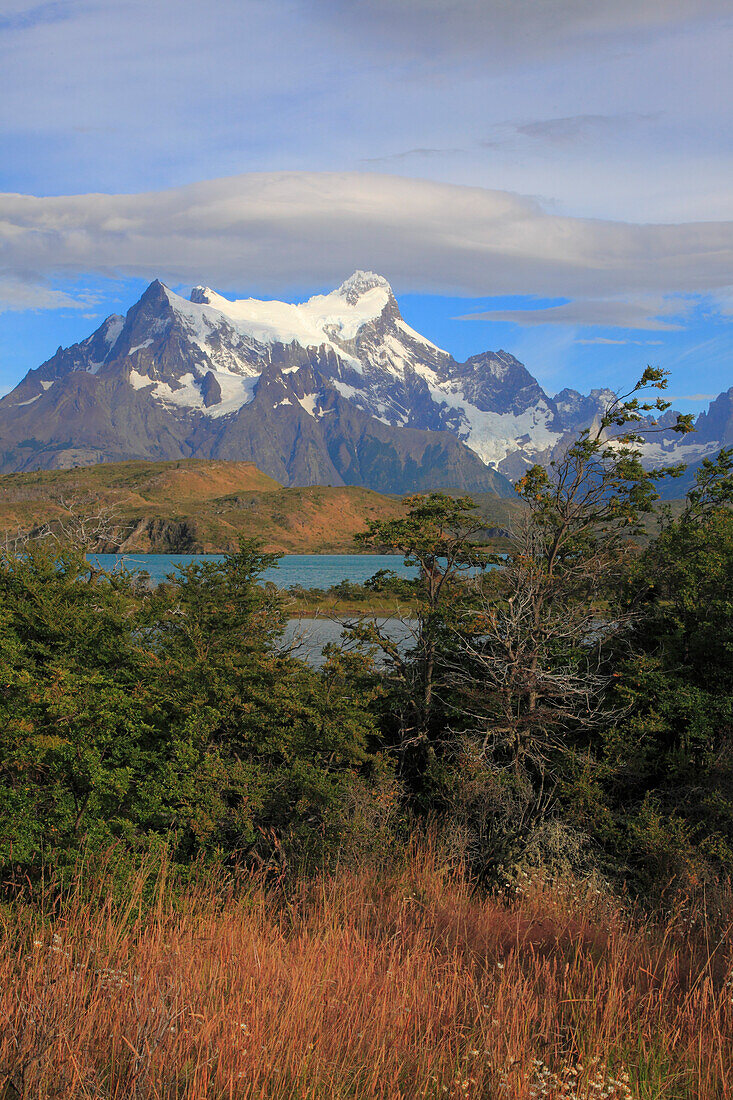 Chile,Magallanes,Torres del Paine,national park,Paine Grande,