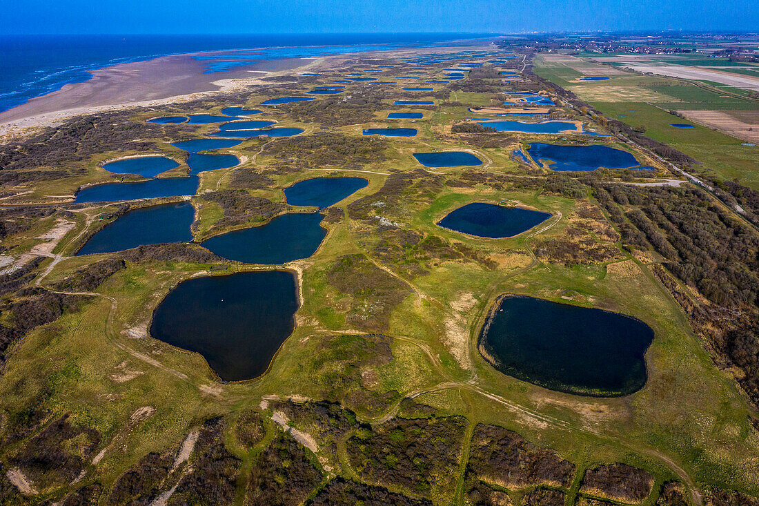 Frankreich,Hauts de France,Pas de Calais. Hemmes de Marck, Becken für die Wasservogeljagd.