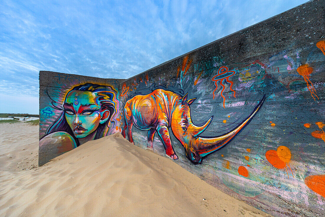 France,Opale Coast,Pas de Calais,SangatteStreet art on bunker. Bleriot-Plage beach