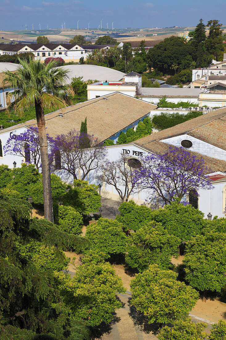 Spain,Andalusia,Jerez de la Frontera,skyline,bodegas