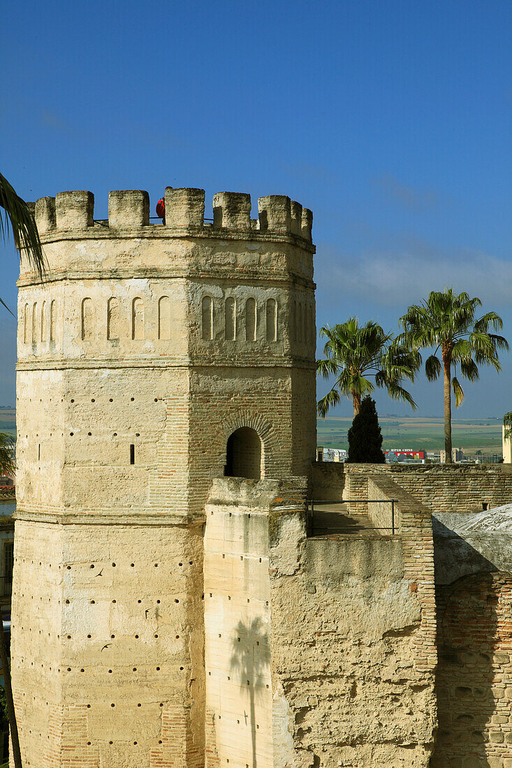 Spain,Andalusia,Jerez de la Frontera,Alcazar