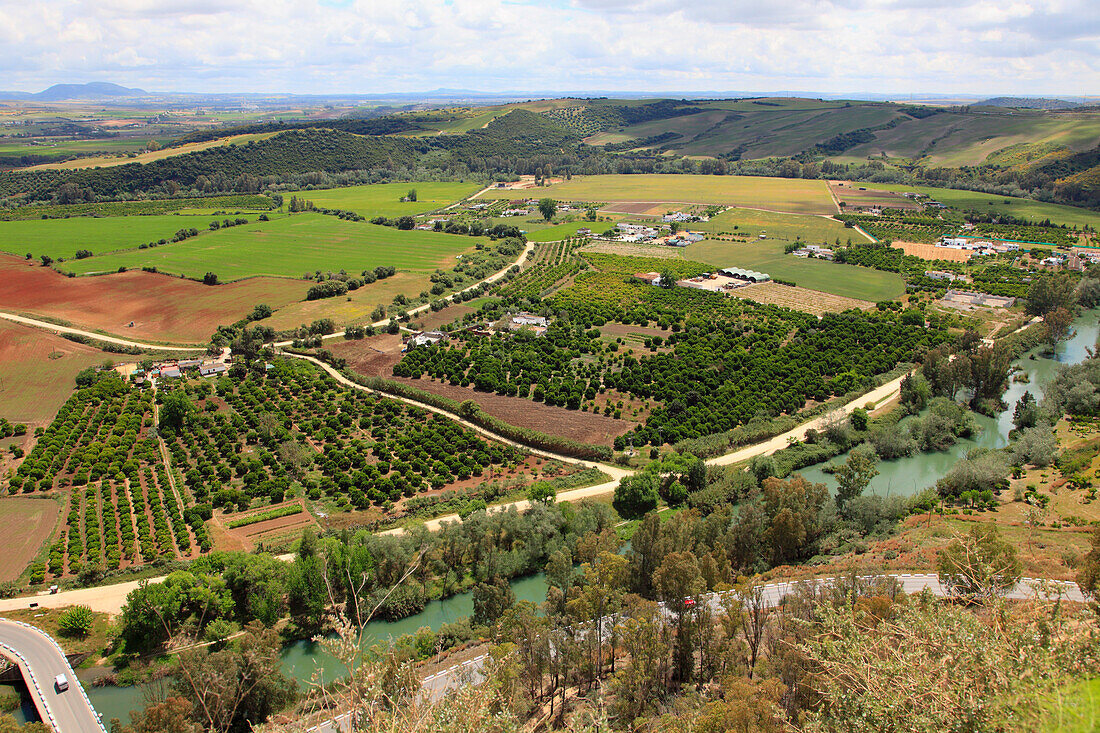 Spain,Andalusia,Arcos de la Frontera,orchards,fields,aerial view