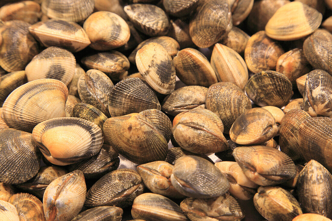 Espagne,Andalusien,Cadix,Markt,palourdes,fruits de mer