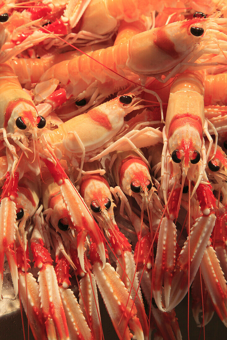 Spain,Andalusia,Cadiz,market,cigala,scampi,seafood