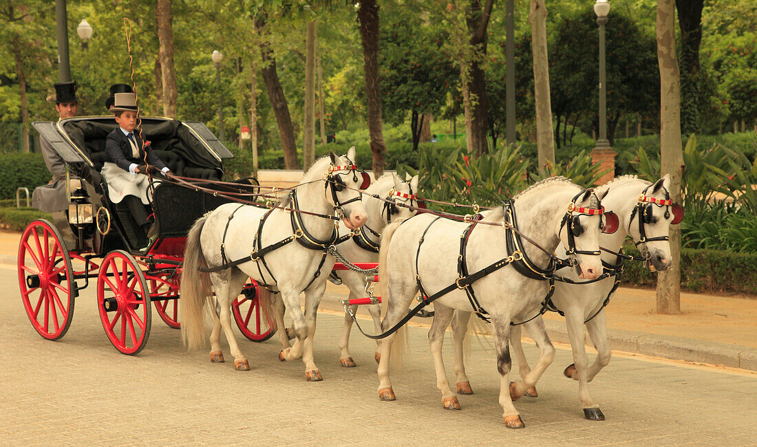 Spain,Andalusia,Seville,festival,horse carriage