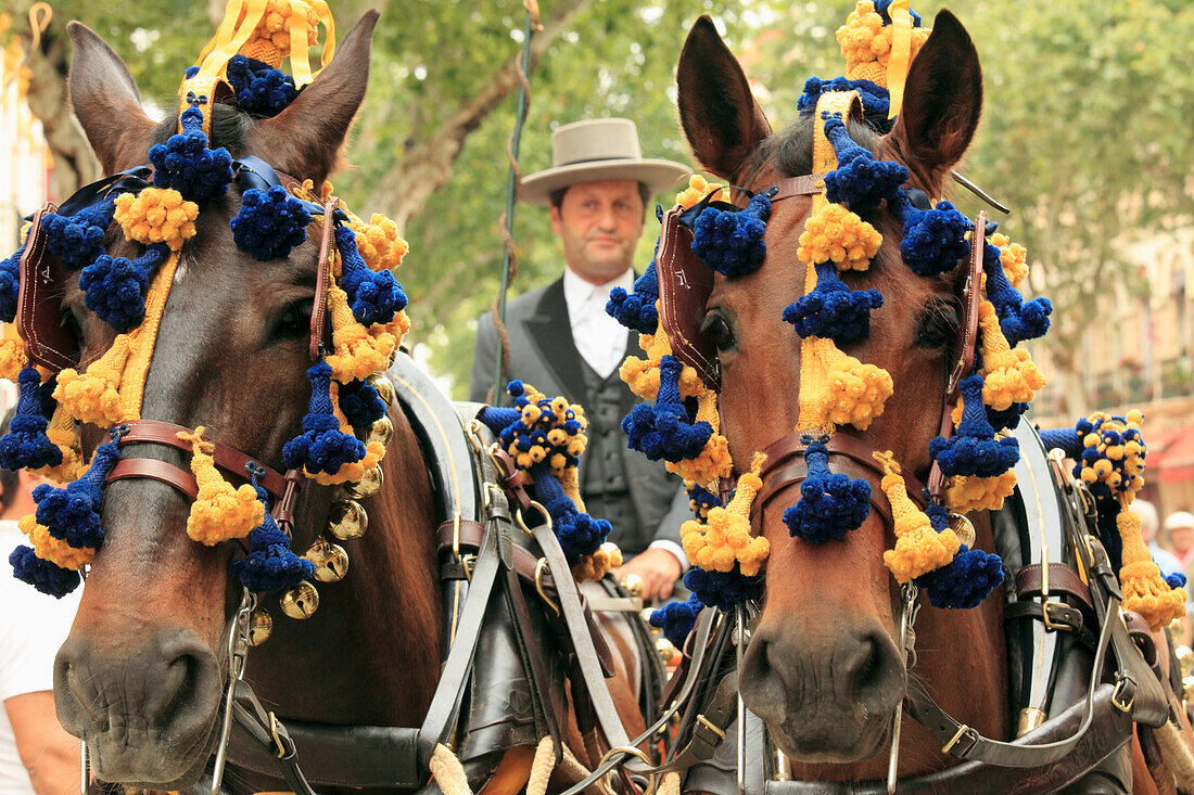 Spanien,Andalusien,Sevilla,Fest,Pferdekutsche