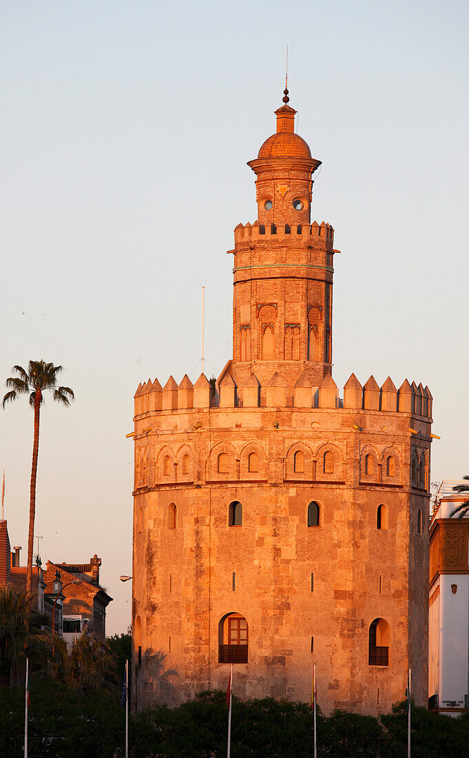 Spain,Andalusia,Seville,Torre del Oro