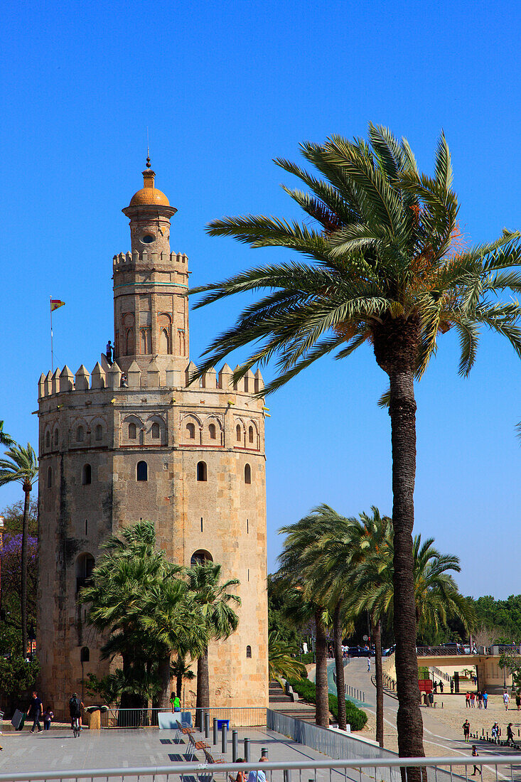 Spain,Andalusia,Seville,Torre del Oro