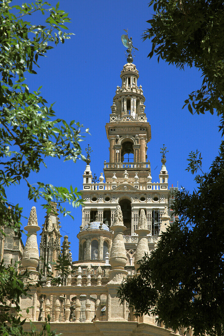 Spain,Andalusia,Seville,Cathedral,Giralda,tower