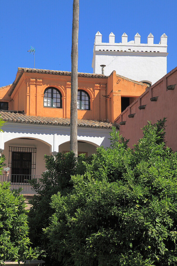 Spain,Andalusia,Seville,Real Alcazar,moorish royal palace,garden