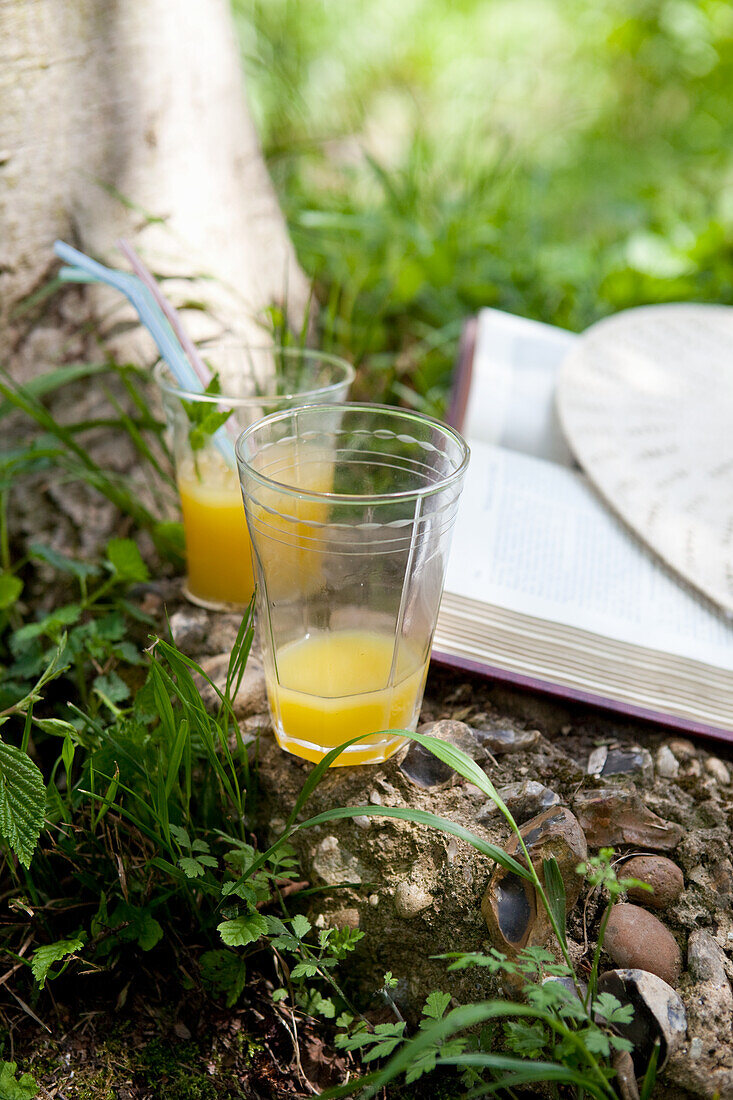 Orangensaft im Garten mit Buch und Hut