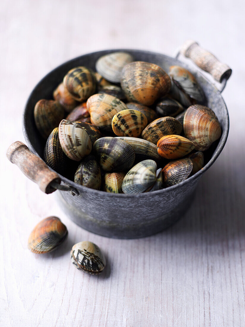 Fresh mussels in a bucket