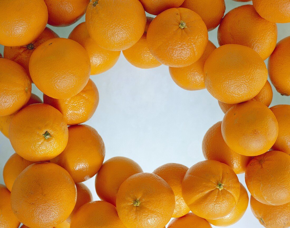 Orangen, um den Bildrand gelegt