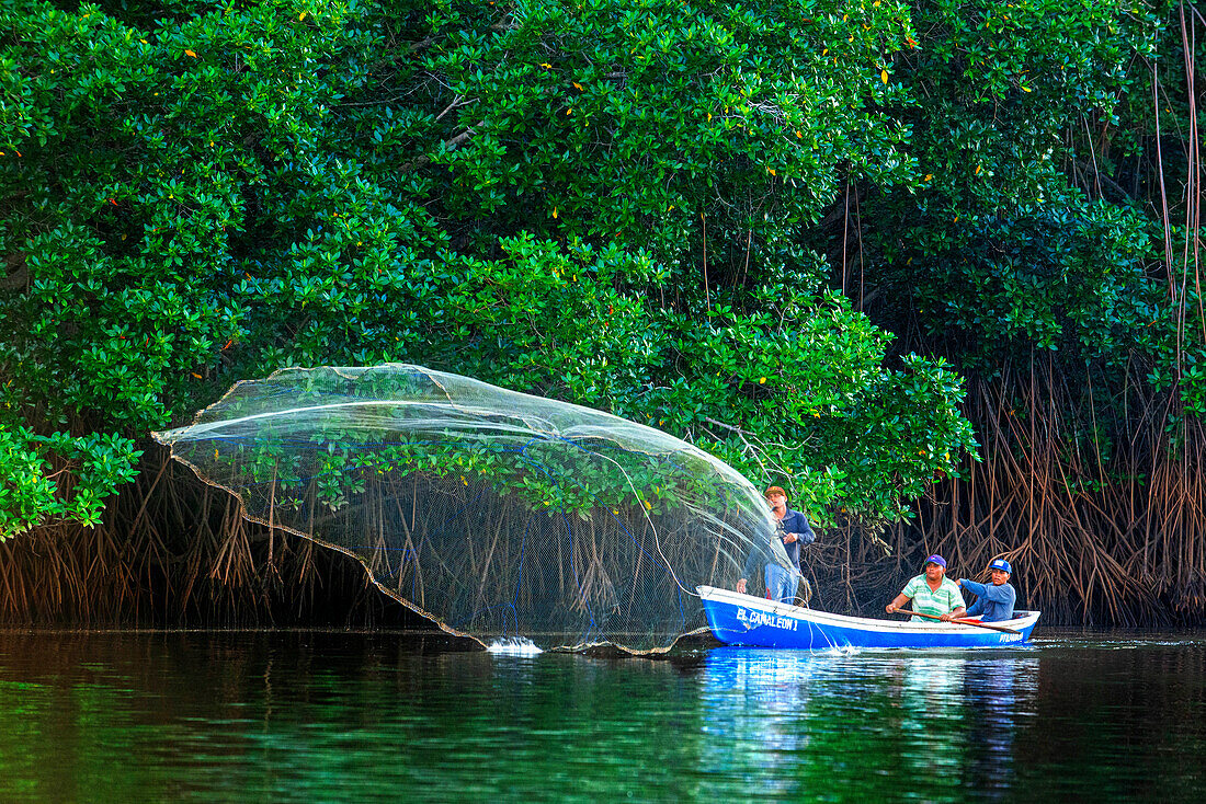 Fisherman fishing with net