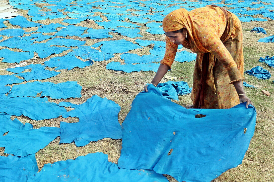 Tannery worker laying leather pieces, Dhaka, Bangladesh