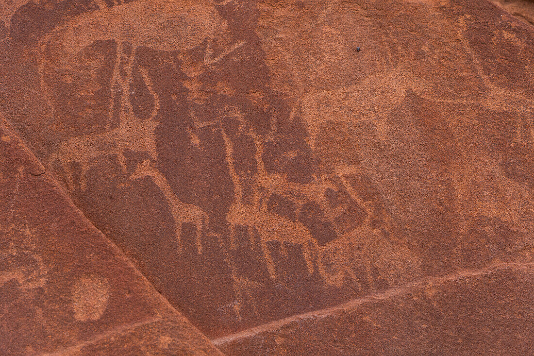 Rock carvings, Twyfelfontein, Namibia