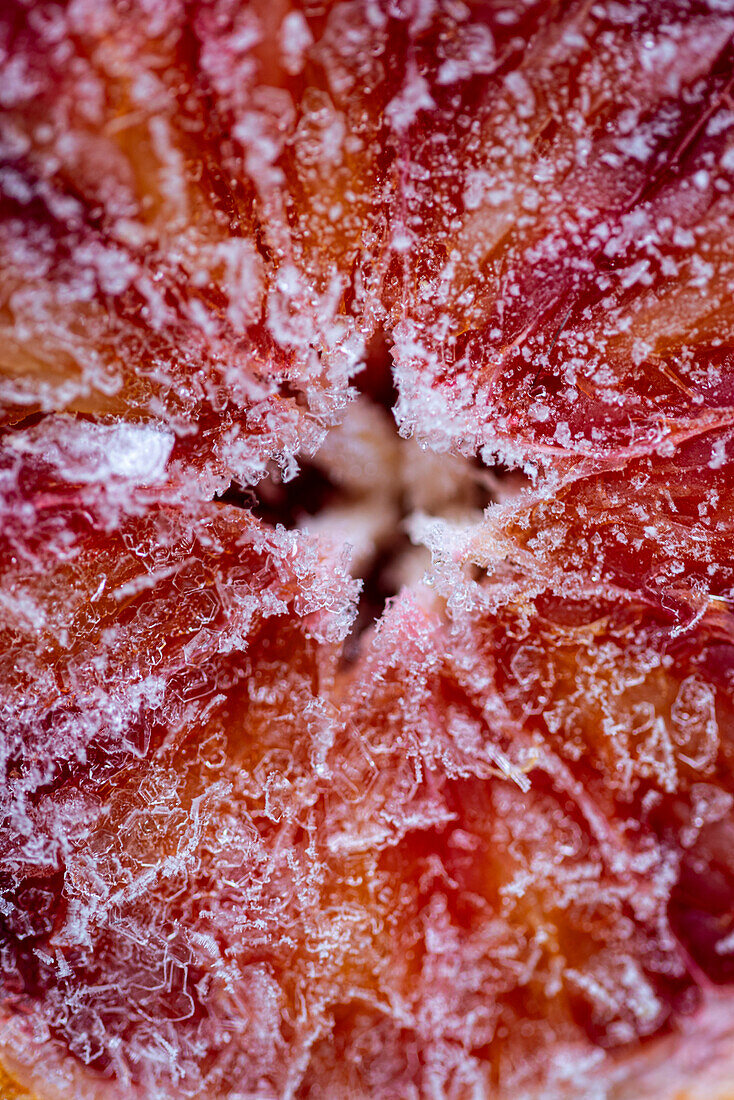 Gefrorene Blutorange im Nahaufnahme