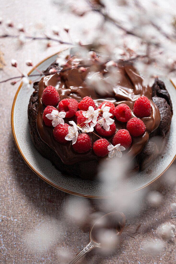 Small chocolate cake with raspberries